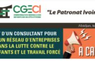 APPEL A CANDIDATURE : Recrutement Consultant Projet ACCEL AFRICA