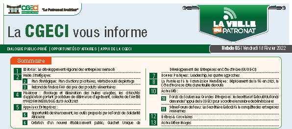 Newsletter La Veille du Patronat N°85-VD